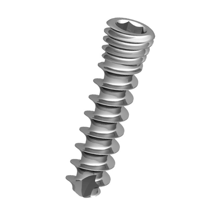 Блокирующий винт для полиаксиальной передней шейной пластины.  Москва